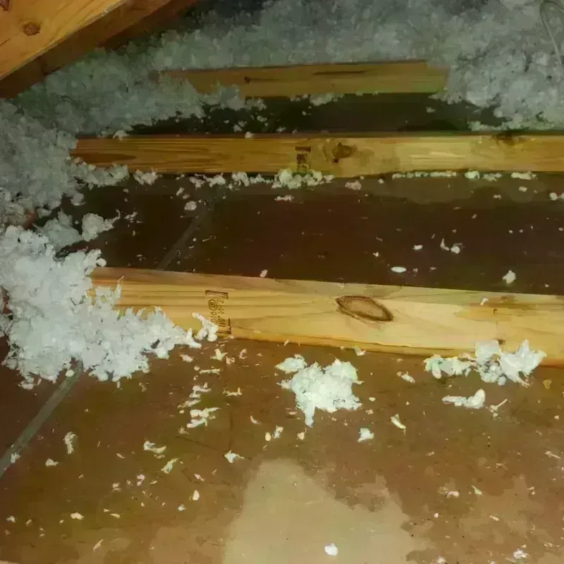 Attic Water Damage in Penngrove, CA